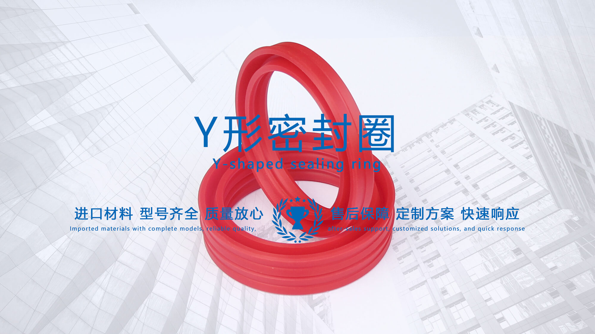 y型密封圈（又Y形密封圈，Y形圈，Y型圖或唇形密封圈，密封件油封膜片） (1)