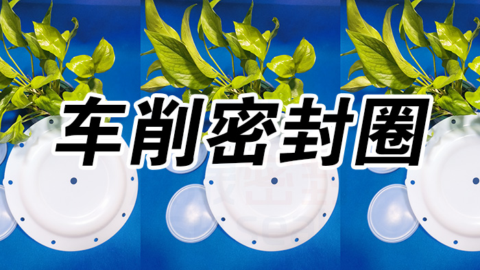 2車削密封圈，氣動隔膜泵膜片密封件